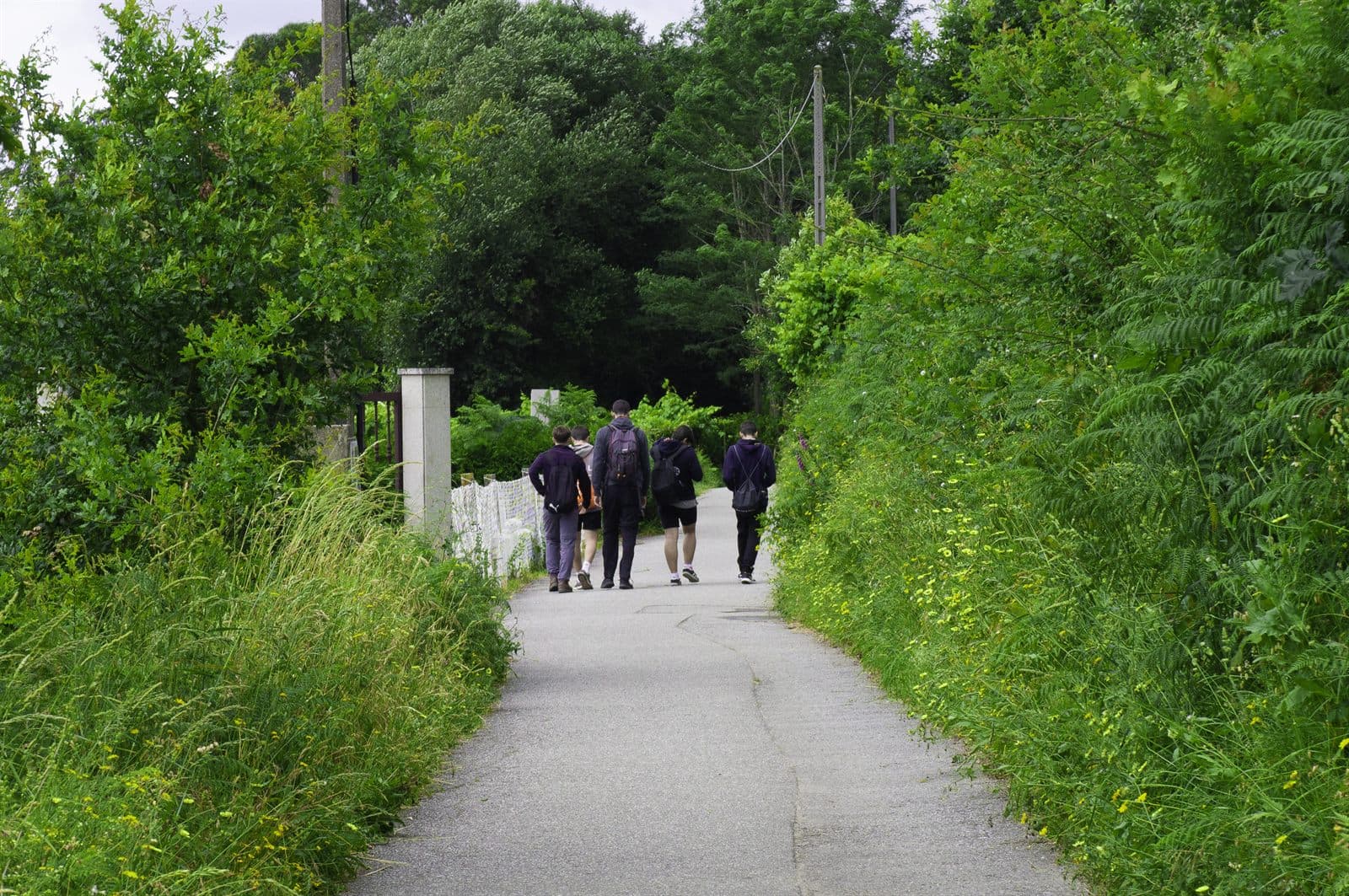 Imagen 6 de Camino de Santiago: días de ruta, amistad y silencio